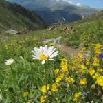 weiter geht unser Weg Richtung Oberalp