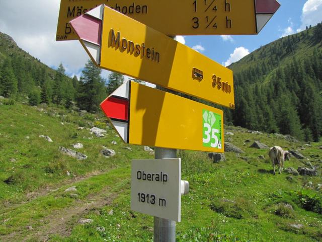 Wegweiser bei Oberalp 1913 m.ü.M.