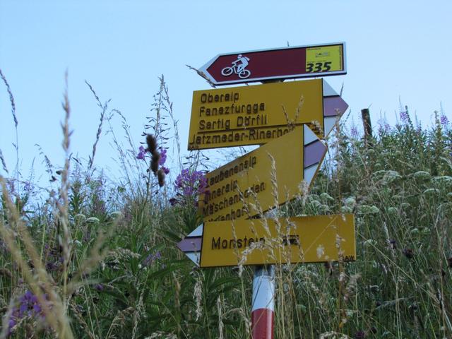 Wegweiser bei Punkt 1578 m.ü.M.