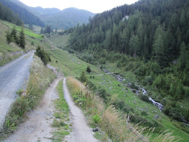 der Weg führt nun auf der orographisch rechten Seite des Inneralp Baches, Richtung Inneralp