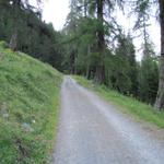 auf der Fahrstrasse geht es gemütlich aufwärts zur Inneralp