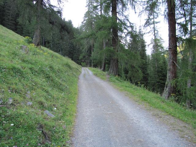 auf der Fahrstrasse geht es gemütlich aufwärts zur Inneralp