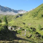 ab Mäschenboden verlässt man die Fahrstrasse und es geht über Alpweiden weiter aufwärts