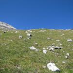 nach der Alp Büelen wird der Bergpfad steiler