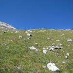 nach der Alp Büelen wird der Bergpfad steiler