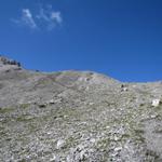 der Bergpfad zum Übergang beim Büelenhorn ist gut ersichtlich