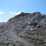 wir haben unsere Rucksäcke beim Übergang liegen lassen und laufen nun zum Büelenhorn