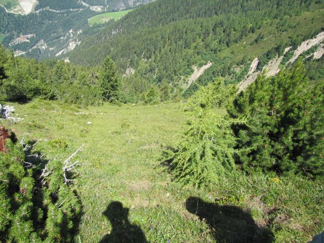 der Weg ist trotz hohem Gras immer gut ersichtlich und gekennzeichnet