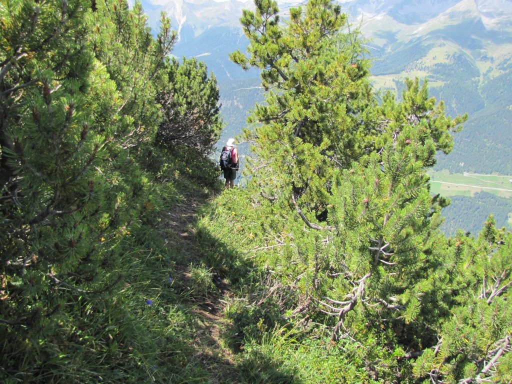 wir haben Drosmäder hinter uns gelassen und wandern nun Richtung Jenisberger Alp