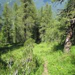 unheimlich romantischer wilder, einsamer, Bergweg. Bei Nässe aber definitv zu meiden. Zu steil ist der Bergweg