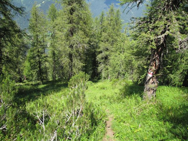 unheimlich romantischer wilder, einsamer, Bergweg. Bei Nässe aber definitv zu meiden. Zu steil ist der Bergweg