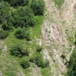 gegenüber dem Drostobel gut ersichtlich der Bergweg