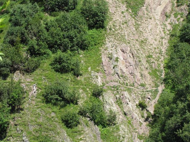 gegenüber dem Drostobel gut ersichtlich der Bergweg