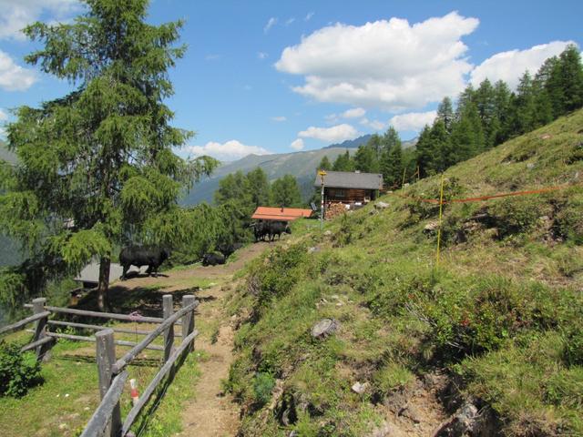 wir haben die Alphütten der Jenisberger Alp erreicht