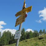 Wegweiser bei der Jenisberger Alp 1989 m.ü.M. Aber wieso wird hier die Wandertafel so fotografiert?