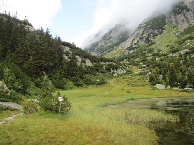 der Stockseewli auf 1618 m.ü.M.