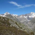 Finsteraarhorn, Finsteraar- Unteraar- und Lauteraargletscher mit Lauteraarhorn