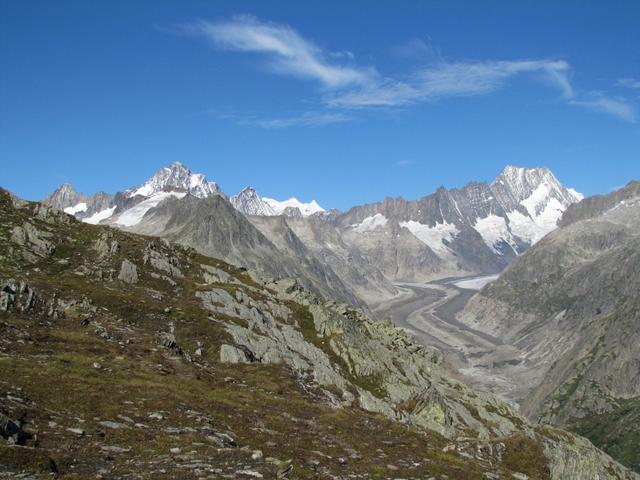 Finsteraarhorn, Finsteraar- Unteraar- und Lauteraargletscher mit Lauteraarhorn