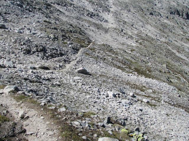 auf einfachem Bergpfad führt der Weg nun abwärts zum Triebtenseewli