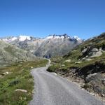 auf der Fahrstrasse geht es zurück zum Grimselpass