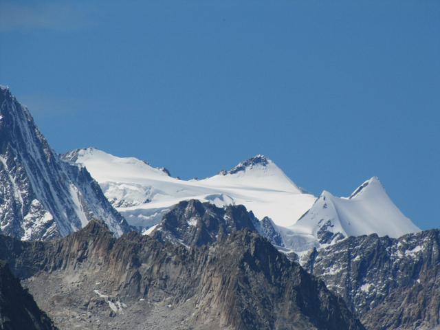 Blick zu Mönch, Eiger und Fiescherhorn