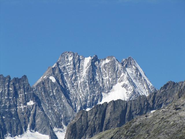 Blick zum Lauteraarhorn