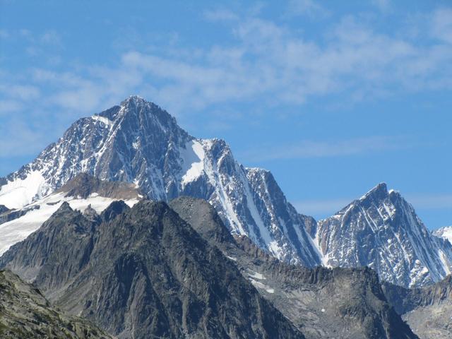 Blick zum Finsteraarhorn