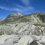 bucklige Granithügel vom Gletscher gehobelt, soweit das Auge reicht