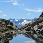 beim Grätlisee mit Blick zum Oberaargletscher