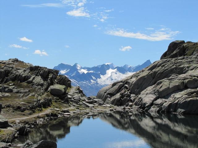 beim Grätlisee mit Blick zum Oberaargletscher