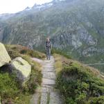 Mäusi auf dem gut ausgebauten Weg