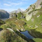 zwischen Hochmoore führt der Weg nun Richtung Lauteraarhütte