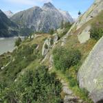 bei Meder erreicht man den höchstgelegenen Arvenwald der Berner Alpen