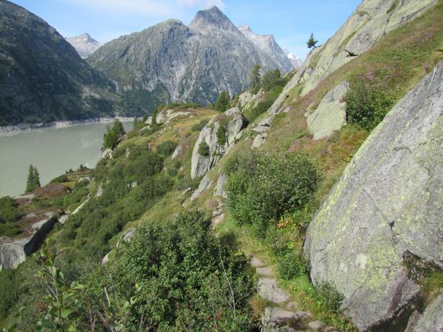 bei Meder erreicht man den höchstgelegenen Arvenwald der Berner Alpen