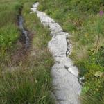 dank dieser gut verlegten Granitplatten überquert man die Moorlandschaft ohne das die Schuhe nass werden