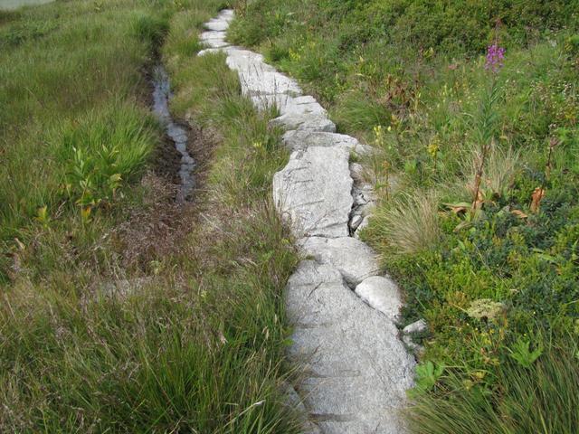 dank dieser gut verlegten Granitplatten überquert man die Moorlandschaft ohne das die Schuhe nass werden