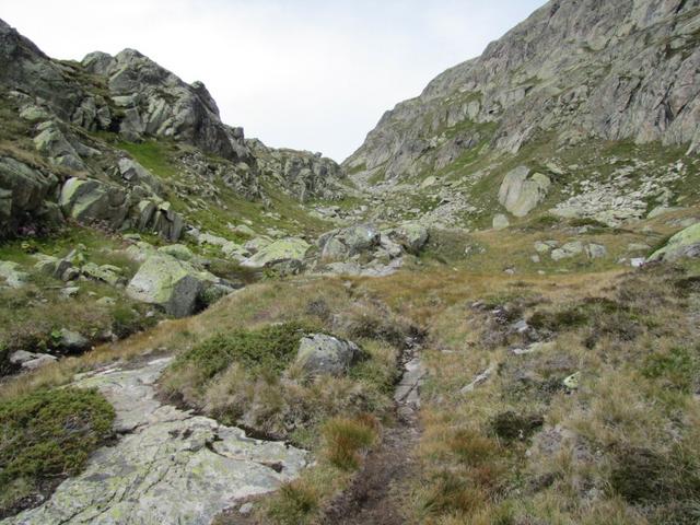 bei Punkt 2241 m.ü.M. überquert man den Triftbach