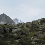 plötzlich taucht am Horizont der Finsteraarhorn auf