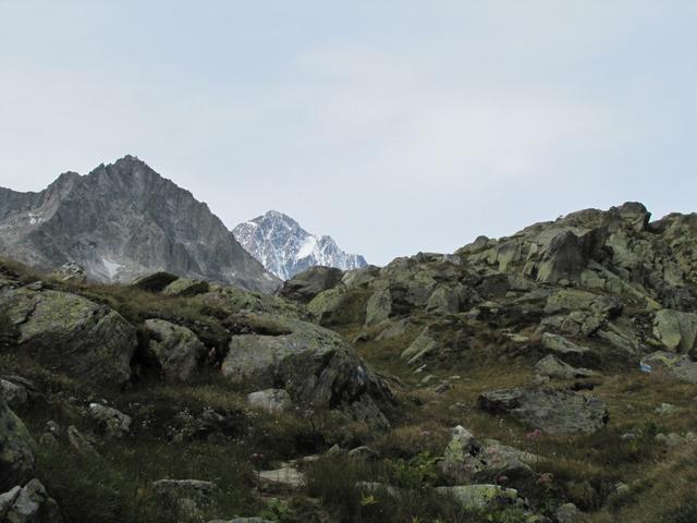 plötzlich taucht am Horizont der Finsteraarhorn auf