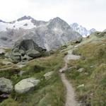 vor uns der Scheuchzerhorn mit dem Tierberggletscher