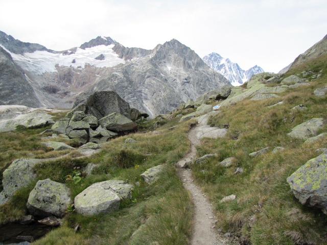 vor uns der Scheuchzerhorn mit dem Tierberggletscher