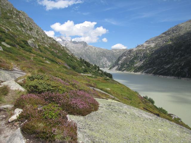 wir sind nun wieder im schönsten Teilstück der ganzen Wanderung