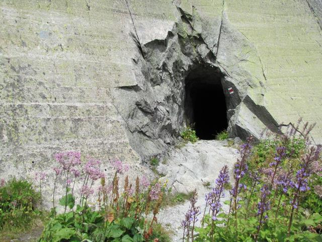 es geht in den Tunnel rein