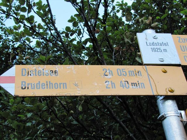 wir wollen aber nicht die Sbrinz Route unter die Füsse nehmen, wir wollen auf den Brudelhorn