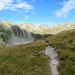 Breitbildfoto bei Hinnerdistel auf 2480 m.ü.M.