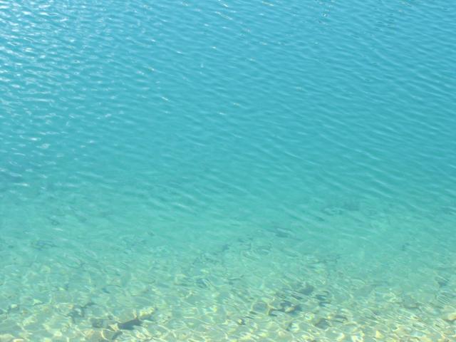 stahlblau ist das Wasser vom traumhaft gelegenen Distelsee