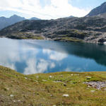 sehr schönes Breitbildfoto vom Distelsee mit Mäusi