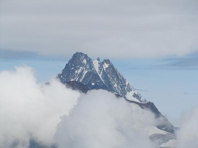 der mächtige Lauteraarhorn