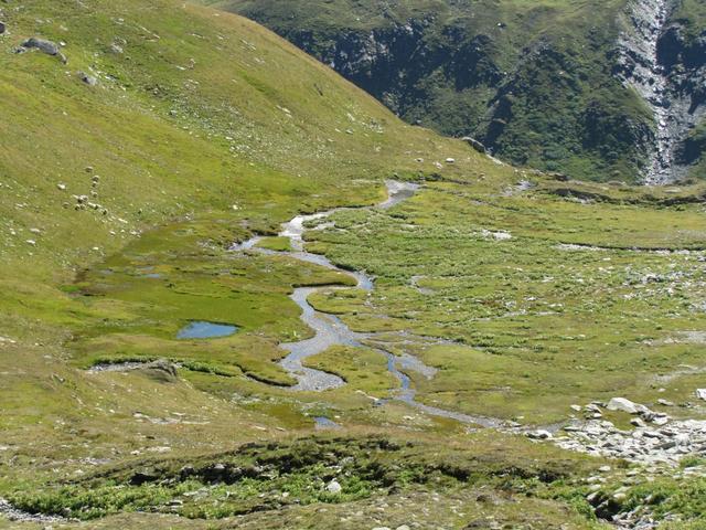 Blick zum kleinen Hochtal von Hinnerdistel