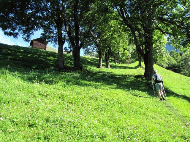 von Calfreisen aus, führt der Weg sofort steil aufwärts Richtung Balnettis